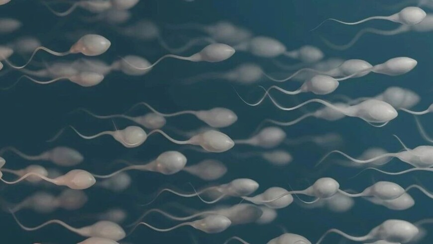 盘点“台独”分子的慌乱时刻,澳门管家婆挂牌资料,展开解析落实_模拟版V7.41